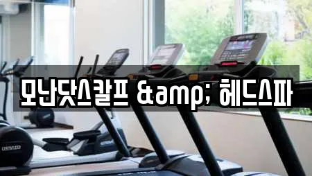 모난닷스칼프 & 헤드스파