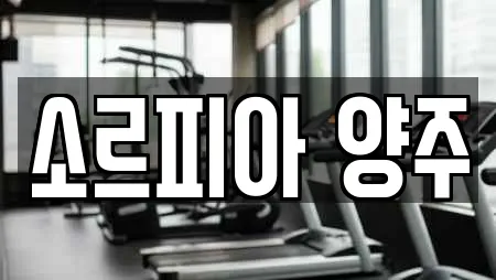 소르피아 양주