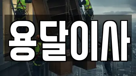 용달이사