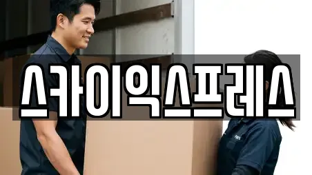 스카이익스프레스