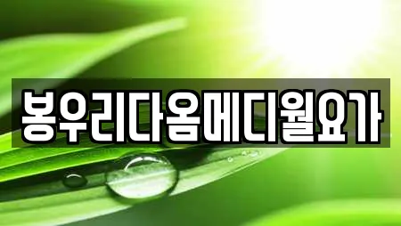 봉우리다옴메디월요가