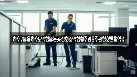 하수구뚫음하수도막힘뚫는곳정화조막힘횡주관오주관청소맨홀역류