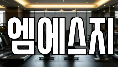 엠에스지
