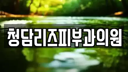 청담리즈피부과의원