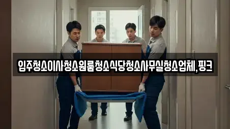 입주청소이사청소원룸청소식당청소사무실청소업체,핑크