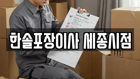 한솔포장이사 세종시점