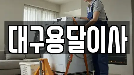 대구용달이사