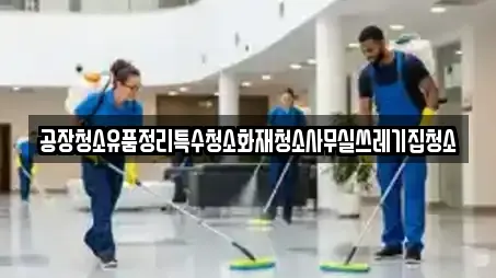 공장청소유품정리특수청소화재청소사무실쓰레기집청소