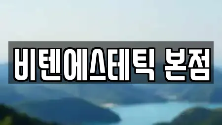 비텐에스테틱 본점