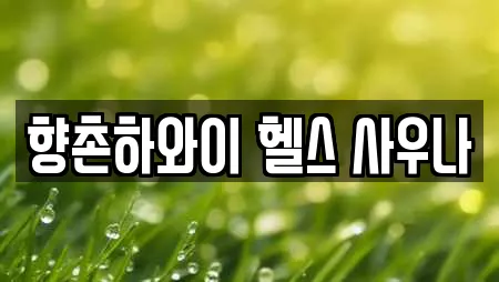 향촌하와이 헬스 사우나
