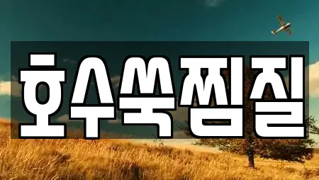 호수쑥찜질