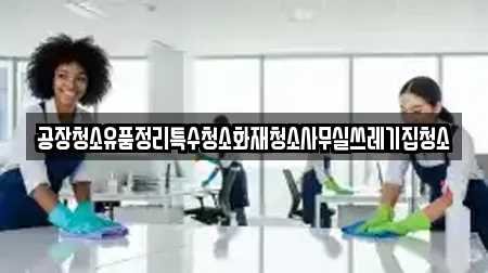 공장청소유품정리특수청소화재청소사무실쓰레기집청소