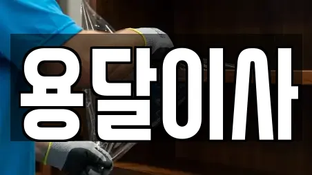 용달이사