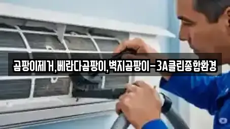 곰팡이제거,베란다곰팡이,벽지곰팡이-3A클린종합환경