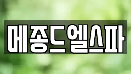 메종드엘스파
