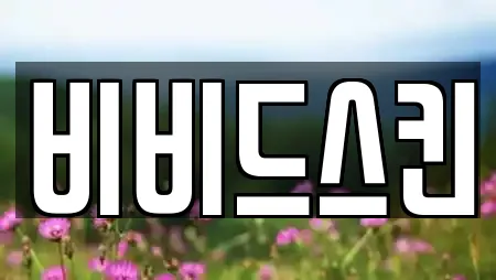 비비드스킨