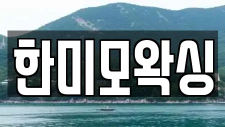 한미모왁싱
