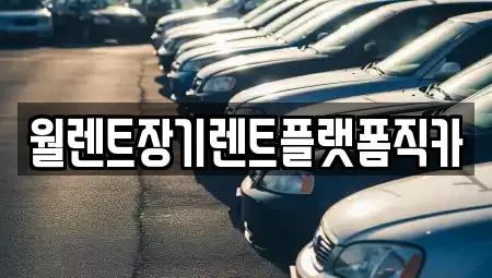 월렌트장기렌트플랫폼직카
