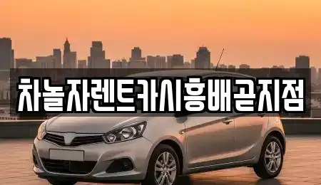 차놀자렌트카시흥배곧지점