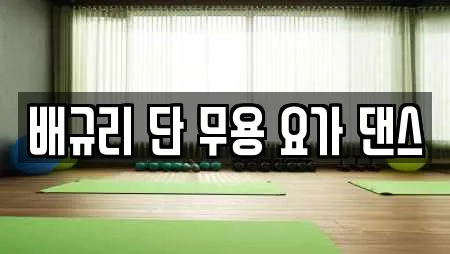 배규리 단 무용 요가 댄스