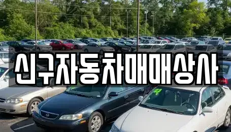 신구자동차매매상사