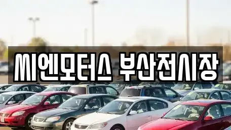 씨엔모터스 부산전시장