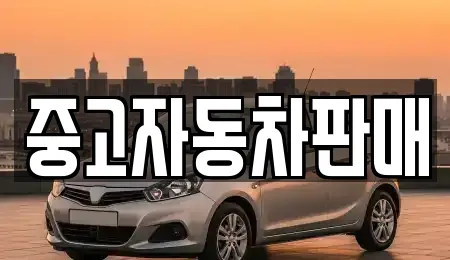 부산광역시 금정구 금사동 내 장기렌트카 검색 결과 12건