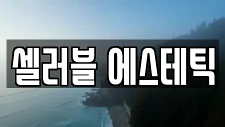 셀러블 에스테틱