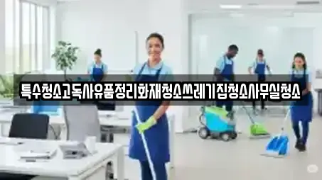 특수청소고독사유품정리화재청소쓰레기집청소사무실청소