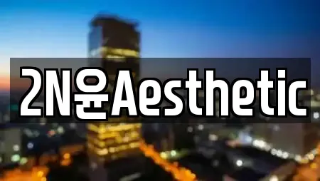 2N윤Aesthetic