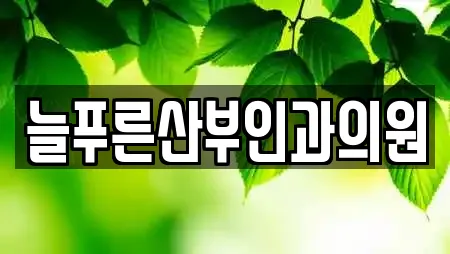 늘푸른산부인과의원