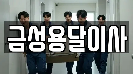 금성용달이사