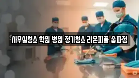 사무실청소 학원 병원 정기청소 라온피플 송파점