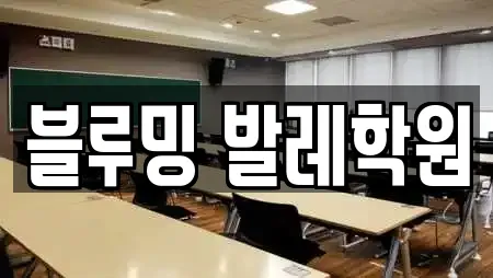 블루밍 발레학원