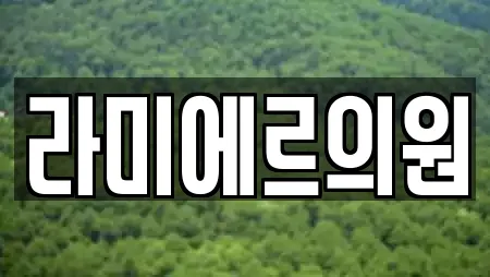 라미에르의원