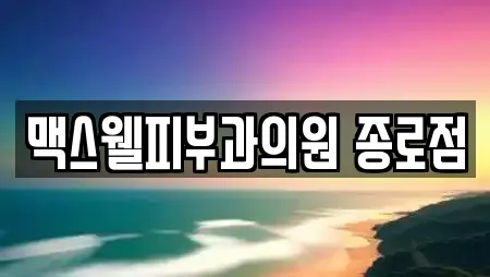 맥스웰피부과의원 종로점