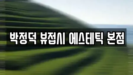 박정덕 뷰접시 에스테틱 본점