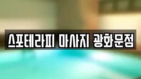 스포테라피 마사지 광화문점