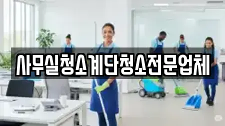 서울 중구 신당동 사무실청소 가이드 19업체