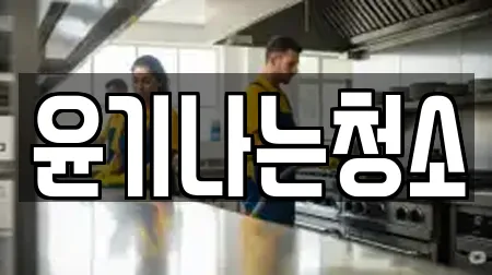 윤기나는청소