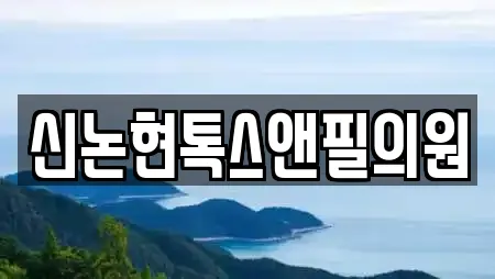 신논현톡스앤필의원