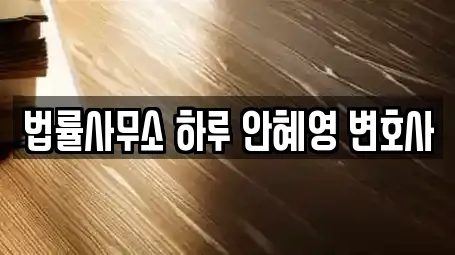 법률사무소 하루 안혜영 변호사
