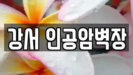 강서 인공암벽장