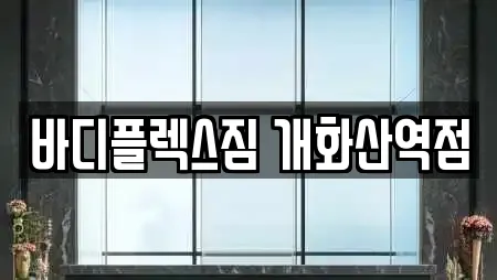 바디플렉스짐 개화산역점