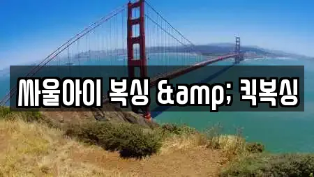 싸울아이 복싱 & 킥복싱
