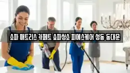 소파 매트리스 카페트 쇼파청소 피에스케어 성동 동대문