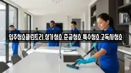 입주청소클린트리.상가청소.준공청소.특수청소.고독사청소