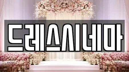 드레스시네마