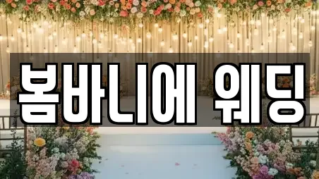 서울특별시 중구 봉래동2가 웨딩드레스 컬렉션 14곳