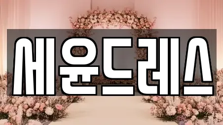세윤드레스